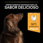 Pro Plan Small & Mini Adult Duo Délice Pollo pienso para perros image number null